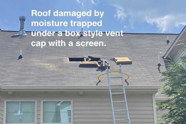 A picture of a roof damaged by moisture trapped under a box style vent screen with a cap.