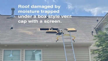 A picture of a roof damaged by moisture trapped under a box style vent screen with a cap.