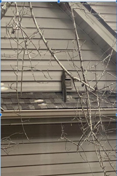 A picture of a squirrel clawing at a dryer vent cap.