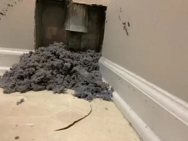 A pile of dryer lint sitting below a dryer vent.