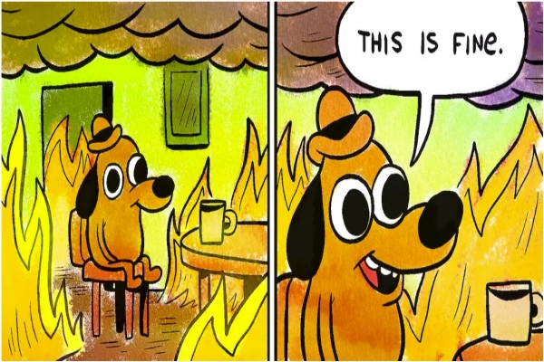 A picture of the this is fine dog meme sitting in a burning room.