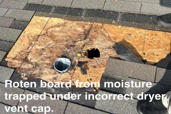 Rotten board from moisture trapped under incorrect dryer vent cap.